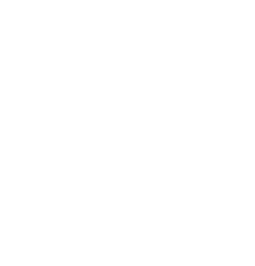 WISE%20initial%20logo_white.png